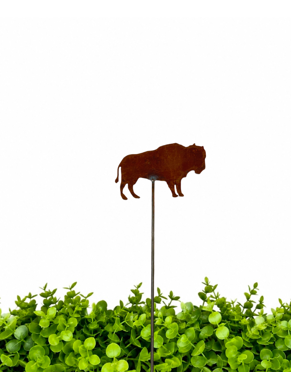 Buffalo Garden Pick