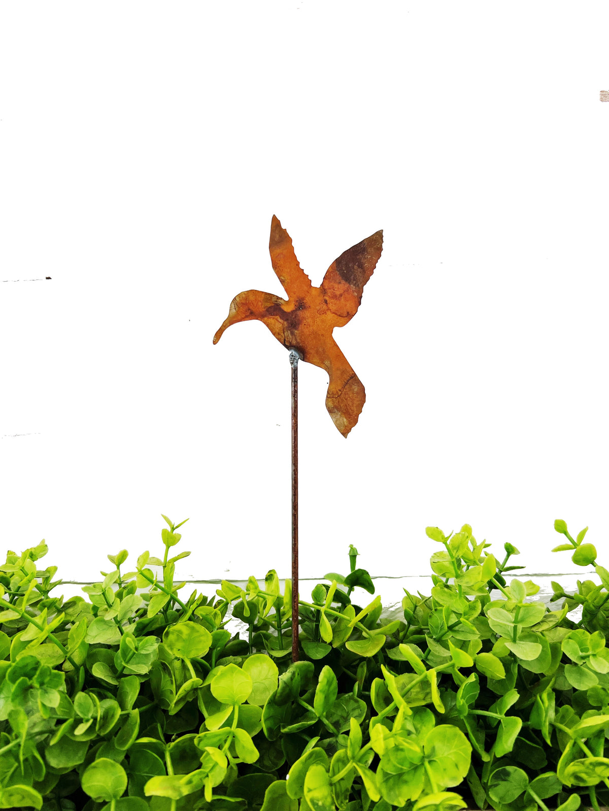 Hummingbird Garden Pick