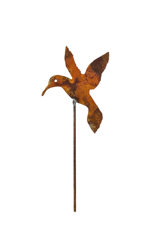 Hummingbird Garden Pick